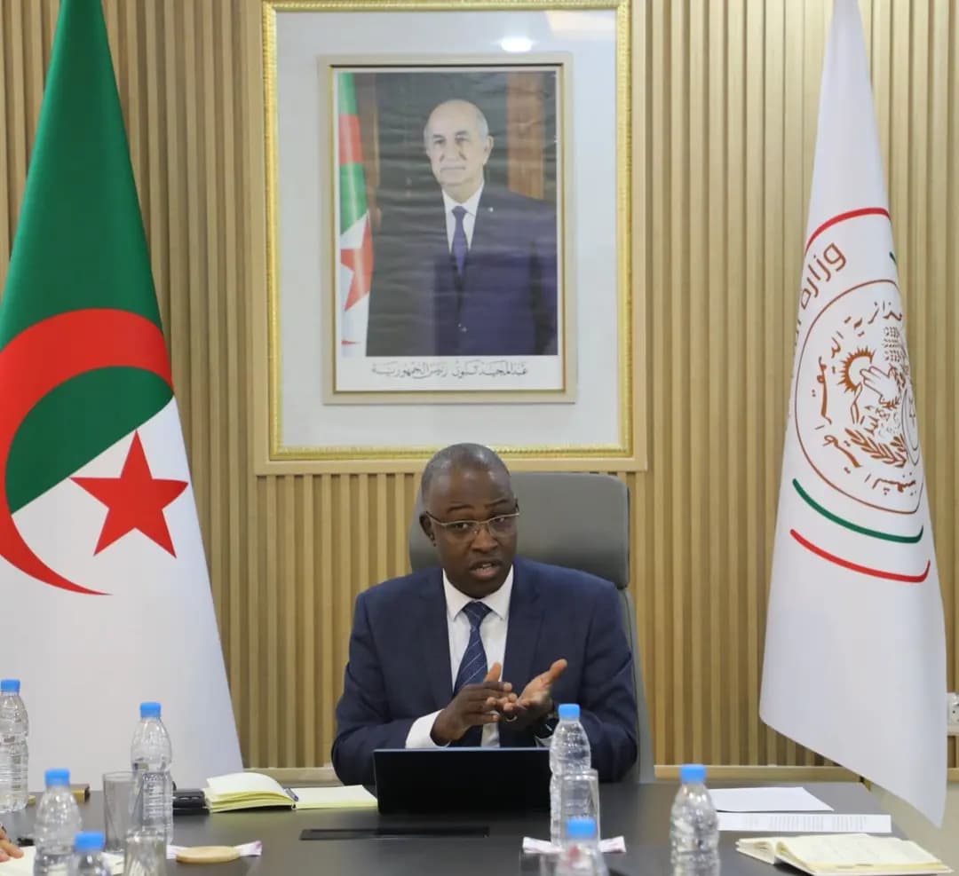 Iḥettet-d Haidaoui ɣef tɣullit n useǧhed n unya n uselkem n yisenfaren yettwaɣden i yilemẓiyen