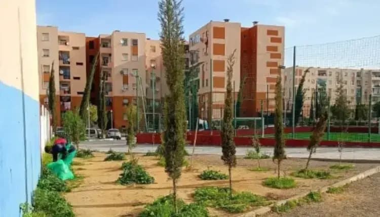 Aciri n tselfawt taɣelnawt d tanallamt i uselhu n twennaḍt tadinant