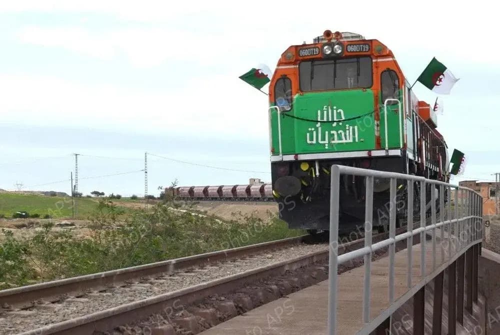 Yumel-d unemhal amatu n Tdukli Tagraɣlant n Ubruzzal n tamuɣli talqayant tawimalt n yiduba idzayriyen