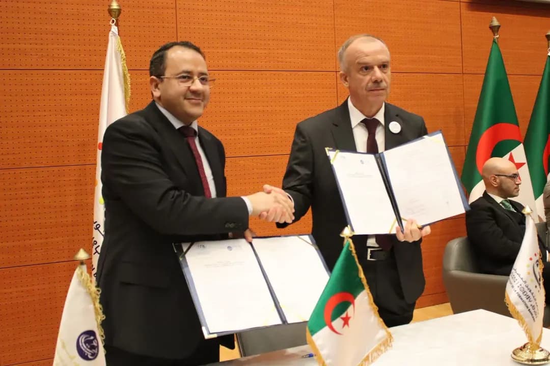 Asileɣ deg tedrimt: Takadimit Tadzayrit n Tesnatwilt Tadrimant tesduba taseqqimt-nnes n tenbaḍt