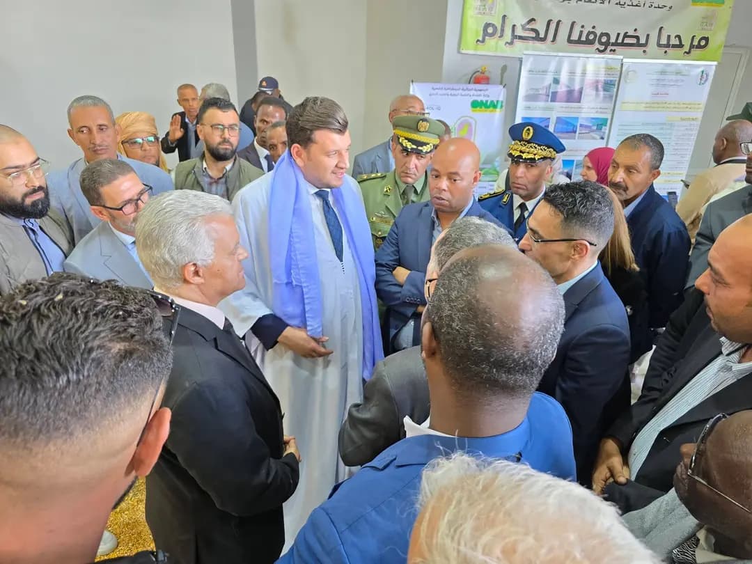 Tebda-d Dzayer ahil d azital n uskurrez n ukbal n uɛeqqa