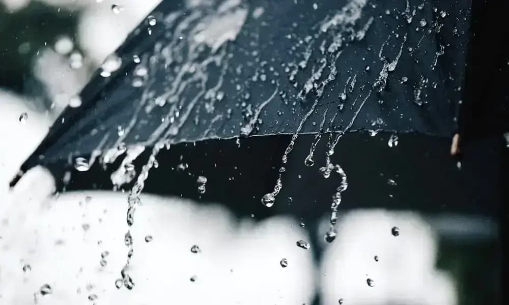 Anẓar amezwawaḍ d tezwawaḍin n yijdi ussan n usamas d uynas deg mennaw n twilayin n tmurt