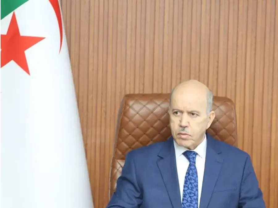 Iwekked-d Saihi ɣef tḍullit n usselhu n yimeẓla inagduden i lfayda n yiɣermanen