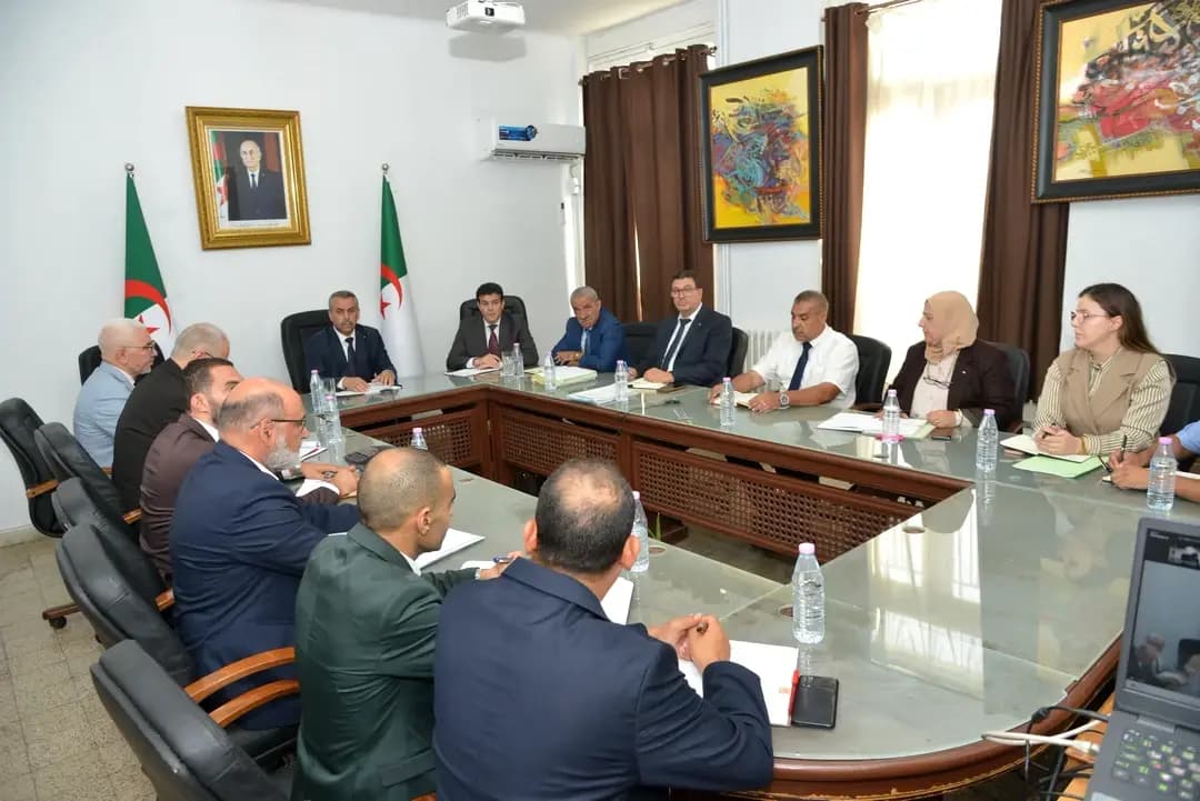 Aseggas aɣurbiz: Yesselwi Sadaoui asarag aɣelnaw ɣef waddad n umuteg n ugzum n usegmi aɣelnaw