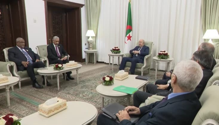 رئيس الجمهورية يستقبل رئيس مجموعة البنك الإفريقي للتنمية