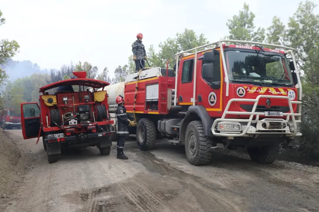 حرائق الغابات بتيبازة