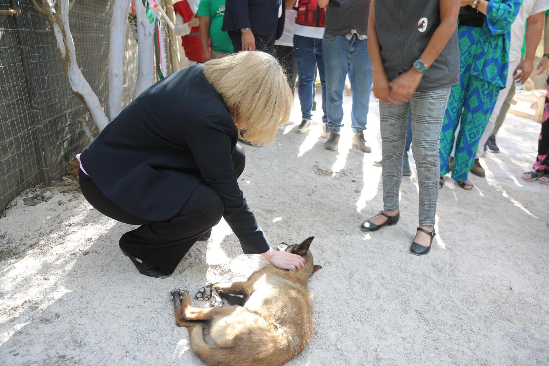 السيدة ابتسام حملاوي