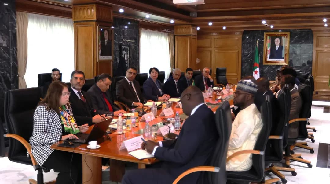 Algeria, Chad explore ways to strengthen mining cooperation