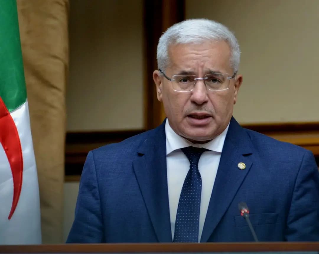 Boughali: Algeria, reliable partner in building unified African future