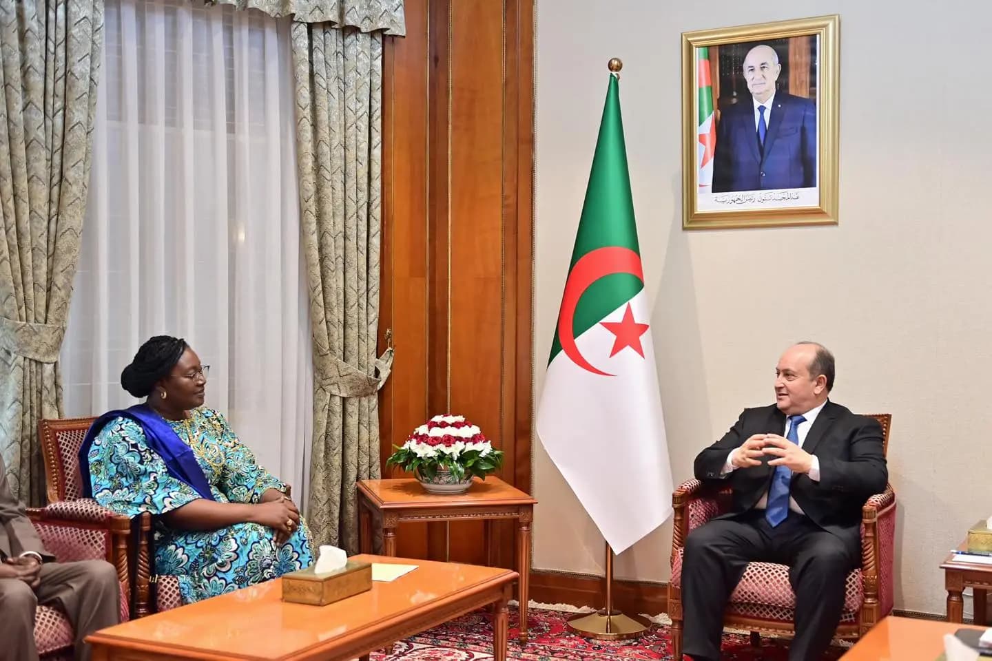 PM receives Chad’s Minister of Petroleum, Mines and Geology