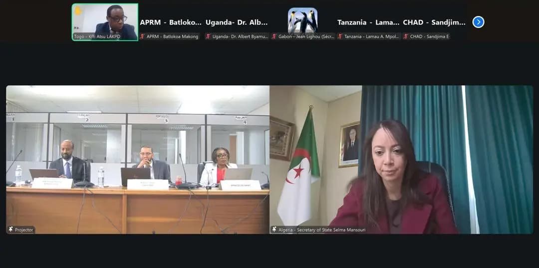 Mansouri chairs APRM Focal Points Committee meeting