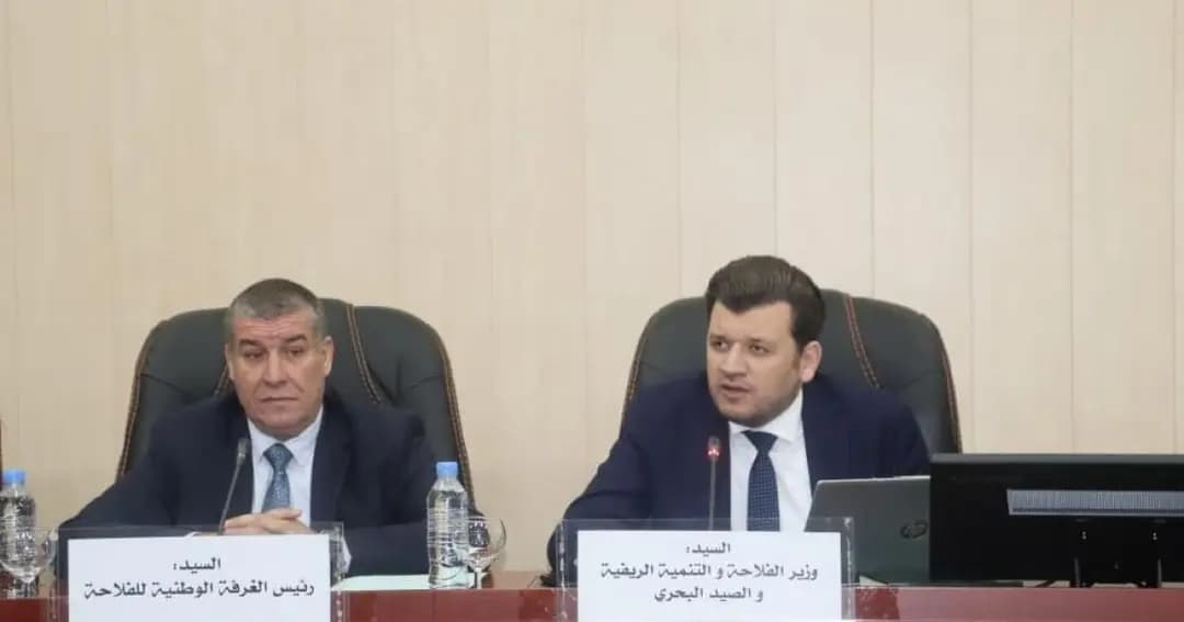 Oualid chairs meeting with cereal sector professionals