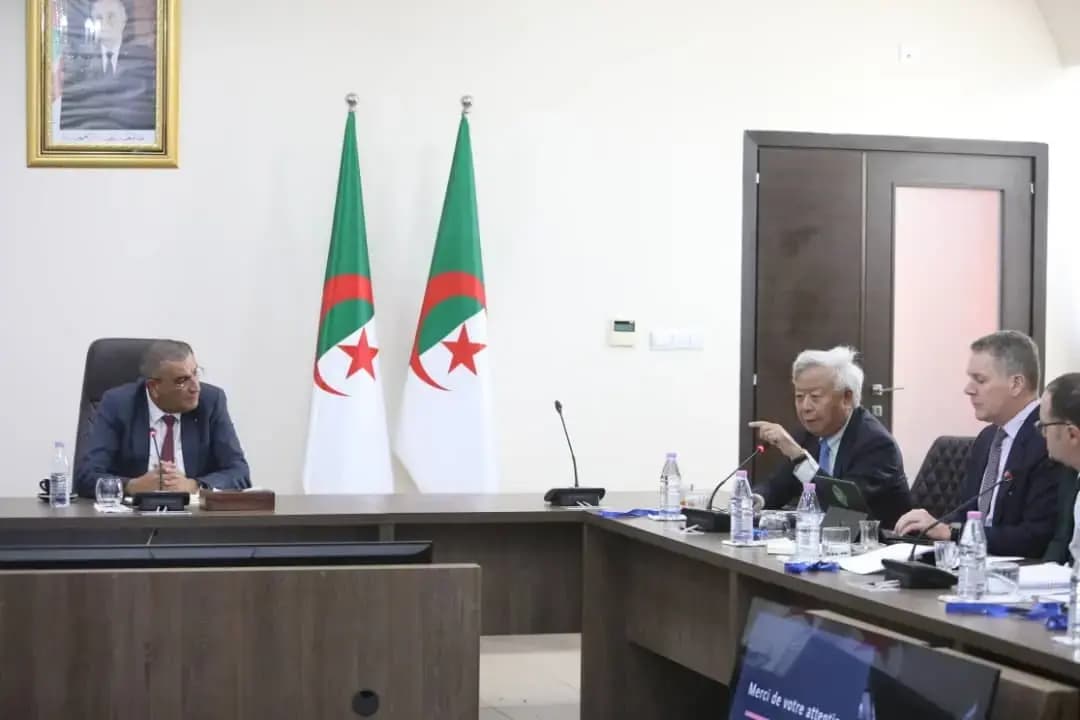 Djellaoui discusses cooperation with Asian Infrastructure Investment Bank delegation