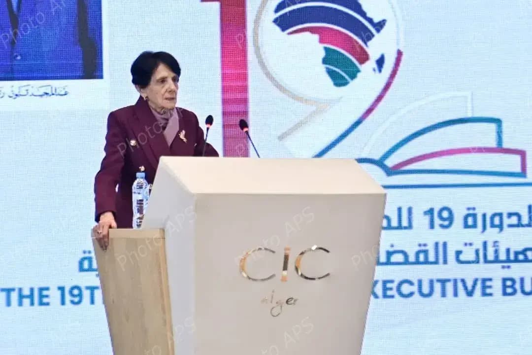 Aslaoui underscores joint willingness to promote constitutional justice in Africa