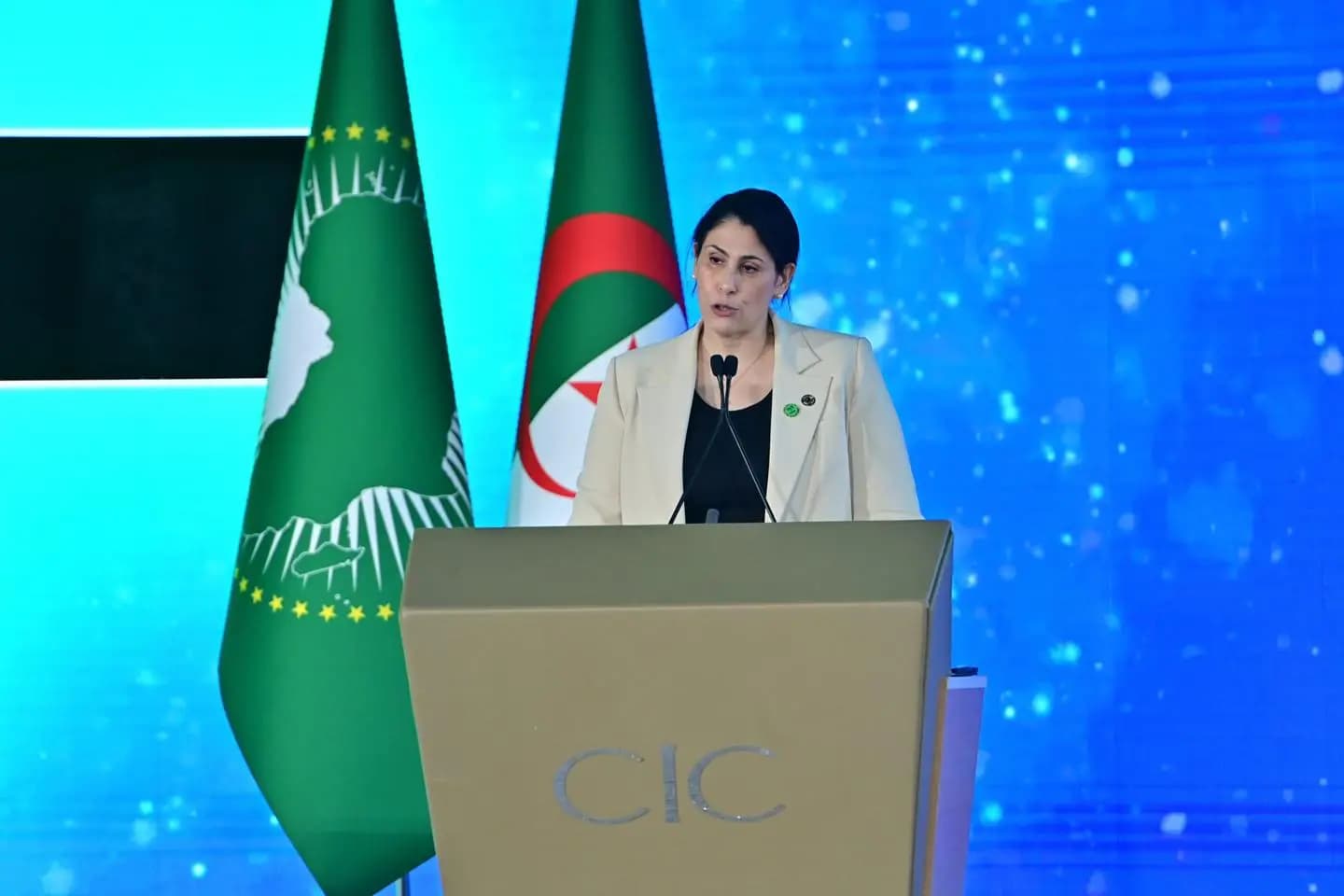 African Startup Conference showcases continental unity in driving innovation