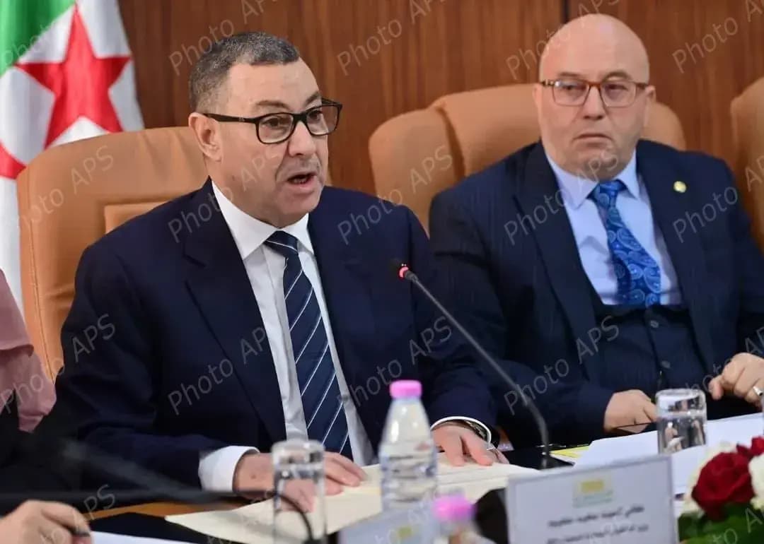 Sayoud: Bill defining electoral districts ensures fair parliamentary representation