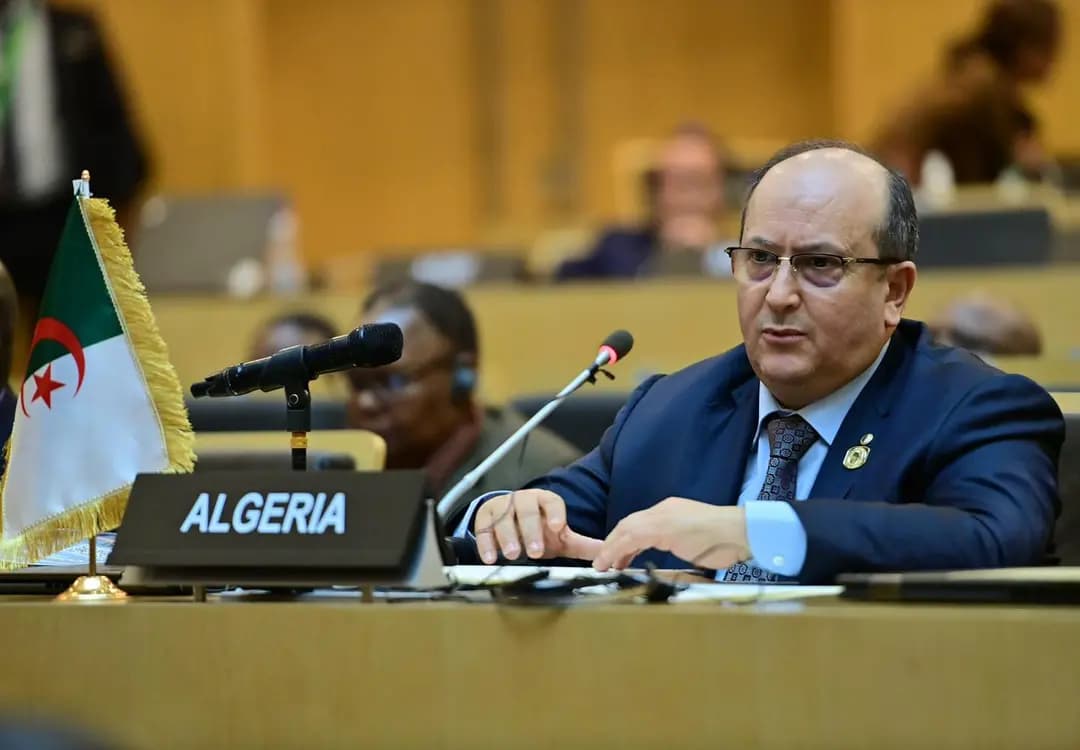 Representing President Tebboune, PM attends session on 20th Summit in Addis Ababa