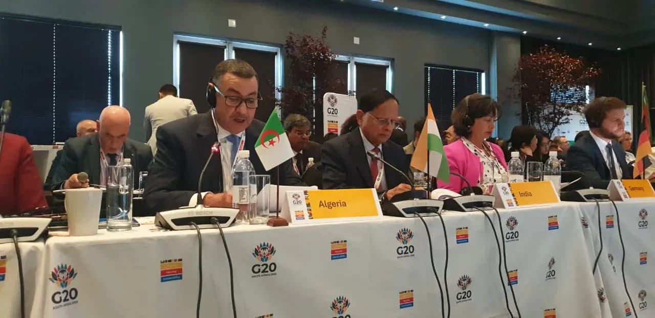 Sayoud presents Algeria's efforts to reduce disaster risks at G20 ministerial meeting