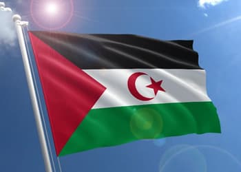 The Sahrawi Cause